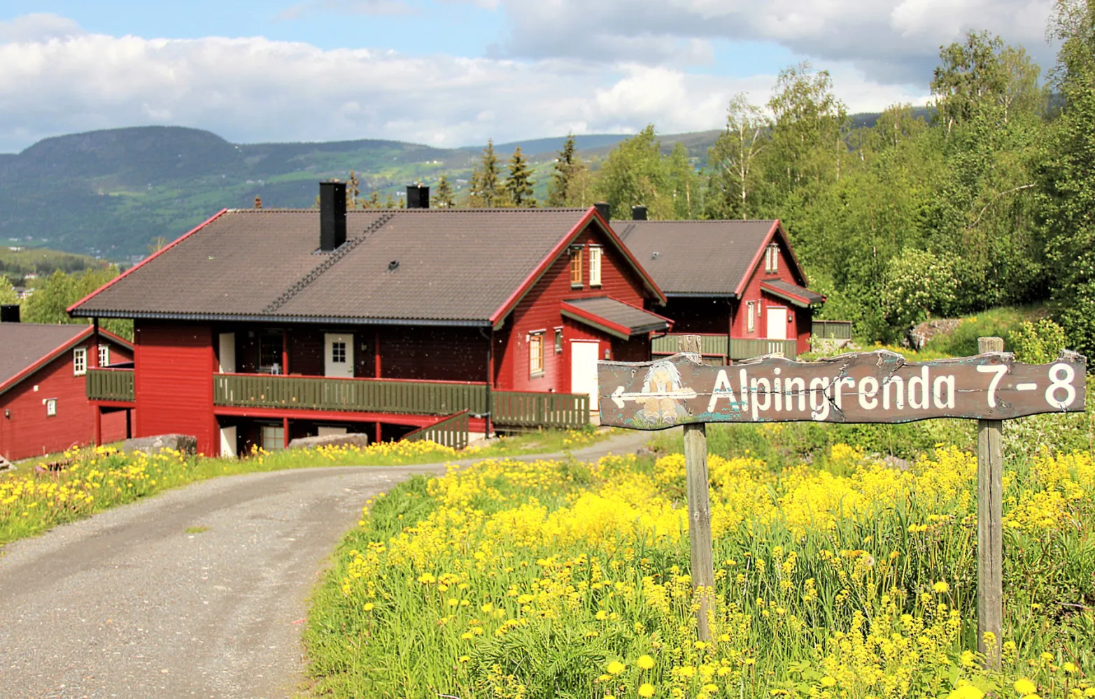 Alpingrenda sommer